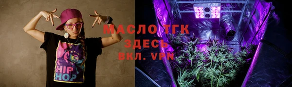 гашик Богородск