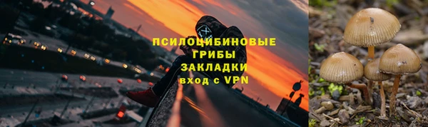 гашик Богородск